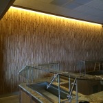 Kalahari WoodStone 3D recycled seamless wall panel system Sandusky, OH