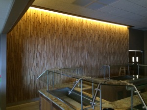 Kalahari WoodStone 3D recycled seamless wall panel system Sandusky, OH